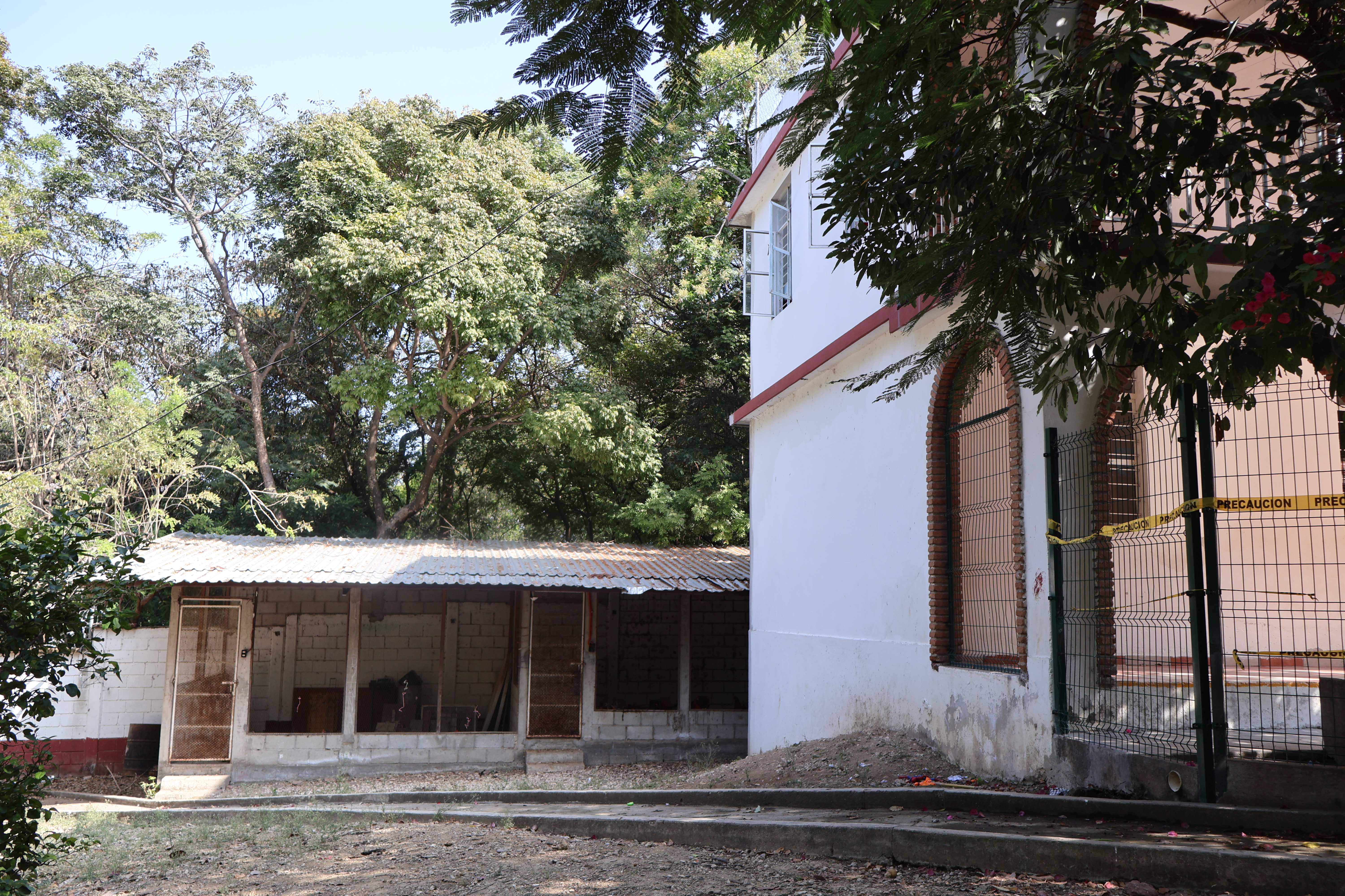  The Garden