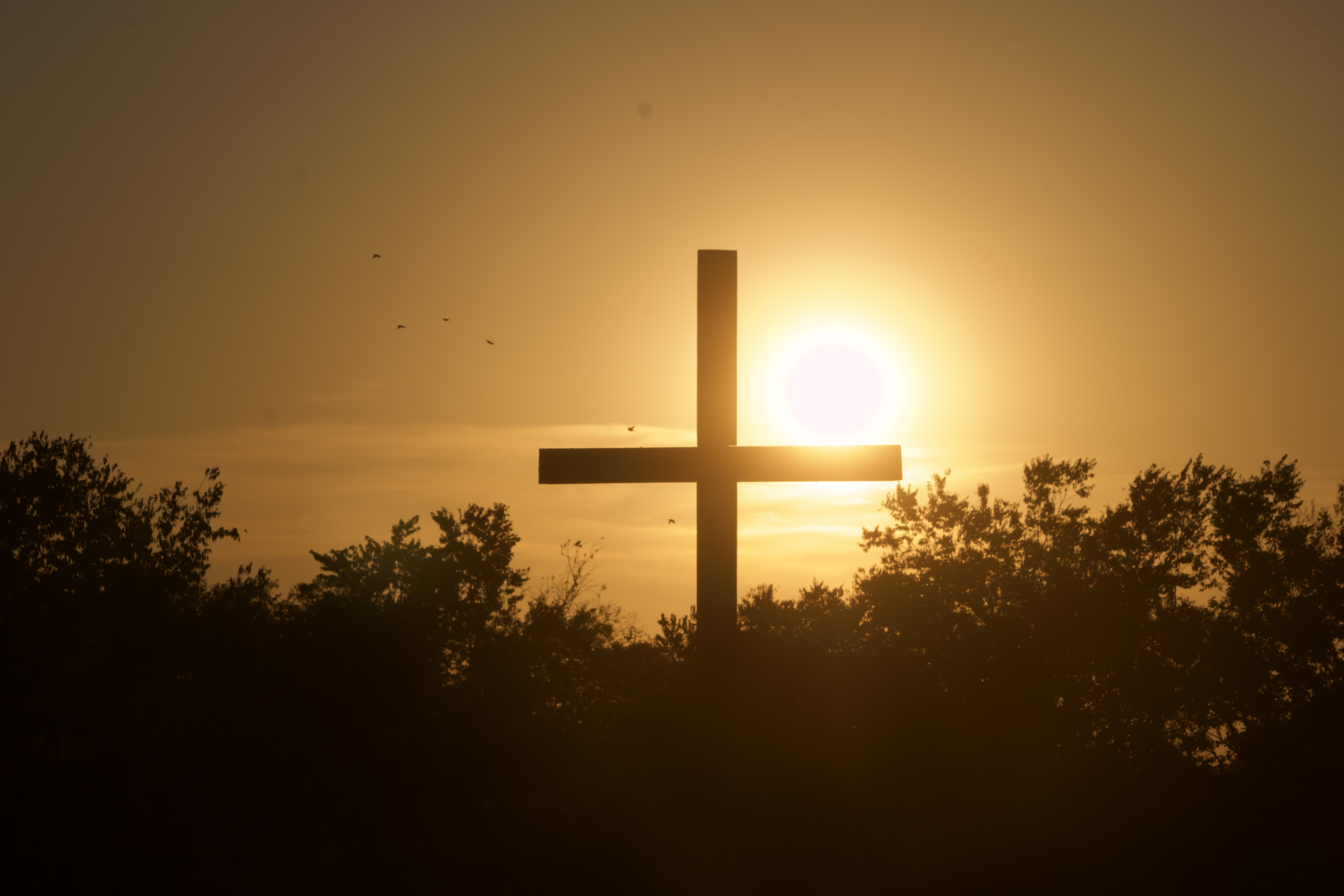 Learning to Trust Him