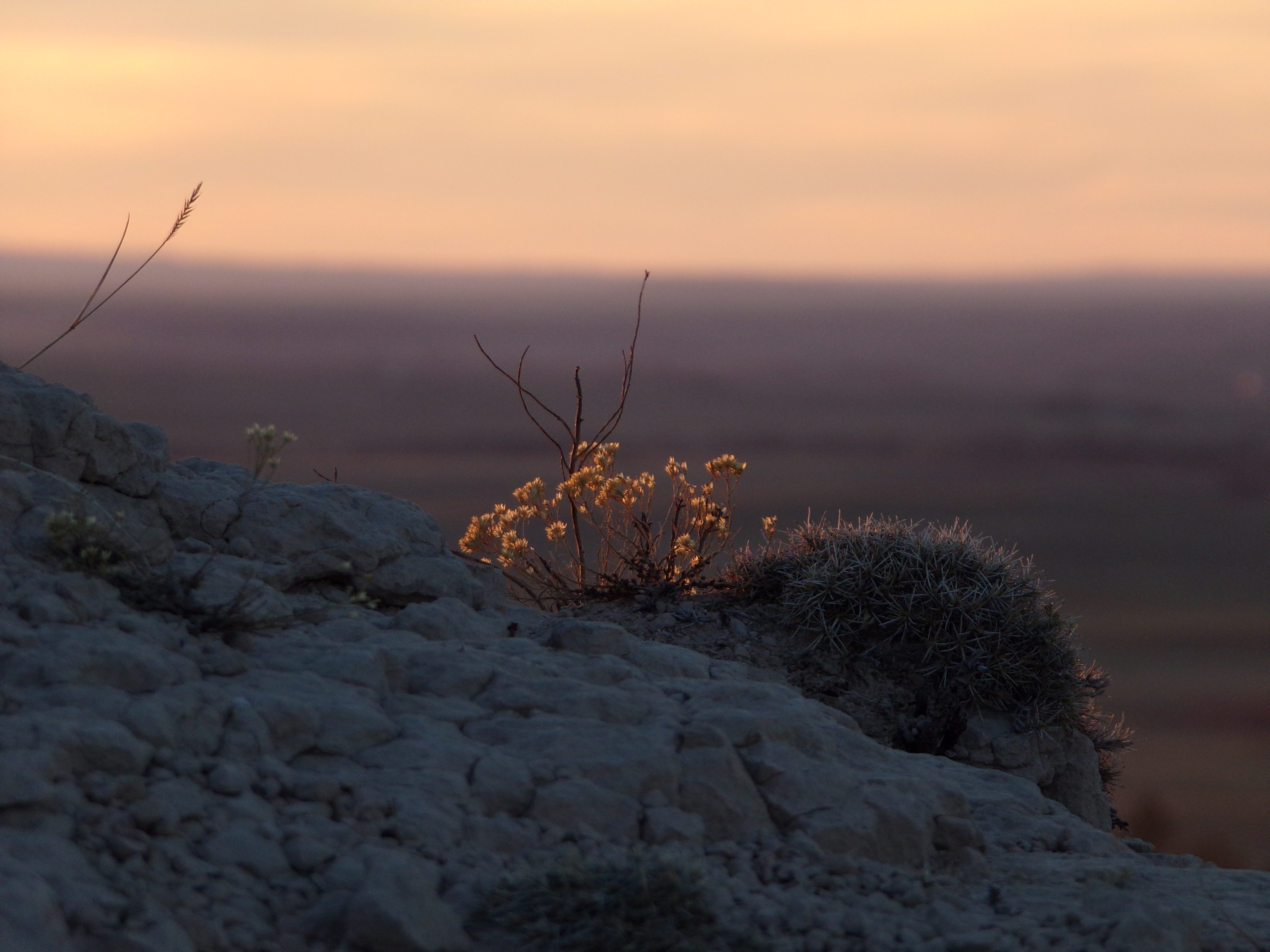 Stillness, Silence, and Peace